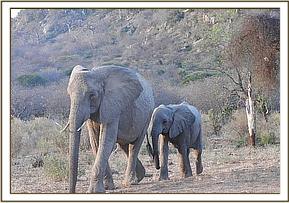 Mulika and Mwende