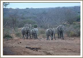 Mulika and her group