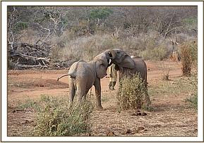 Orwa challenges Suguta