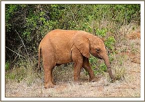 Enkesha doing so well