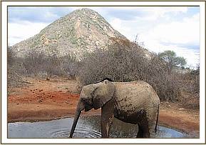 Lualeni in the water