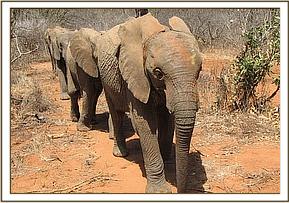 Sunyei leads her group