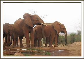 Laikipia & others