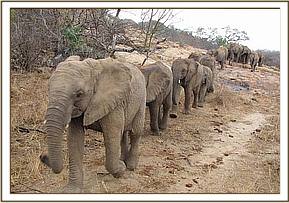 Naserian leading the group