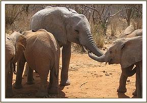 Lualeni says hi to the youngsters