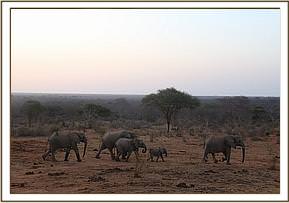 yatta leading her group