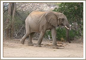 Taita
