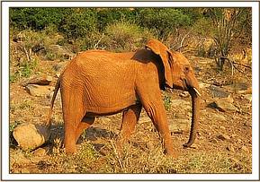 Lesanju on Msinga Hill