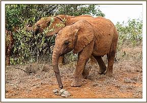 Enkesha is a lovely little girl