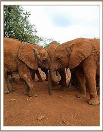 Sattao with Enkesha