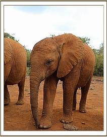 Enkesha is good at finding her way