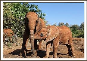 Tagwa and little Sattao