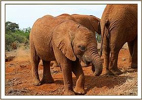 Enkesha was so welcoming of the new baby
