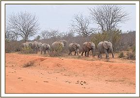 Ukame leading the orphans