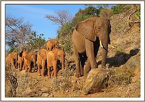 Laikipia leading the youngsters to the field