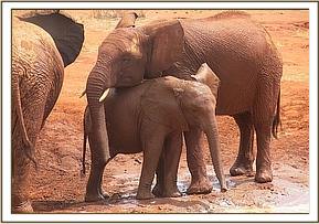 Lesanju mothering Wasessa