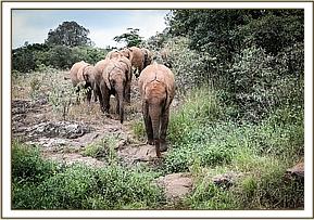Maisha Sattao and Enkesha head to 11am feed