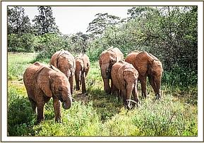 Maisha finds refuge with friends