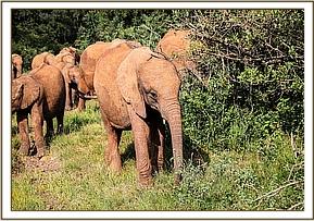 Sagala leading orphans to morning activities