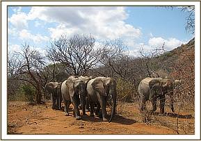 Naserian leading her group