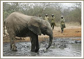 Wendi at the mudbath