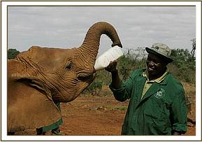Lualeni and Edwin