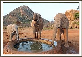Vuria with Wendi and Napasha