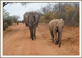 Wendi and Kithaka