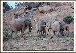 Madiba with juniors