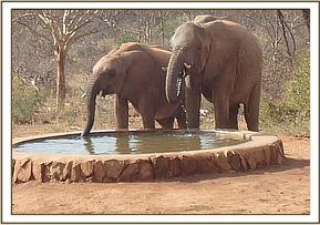 Ololoo and Lualeni