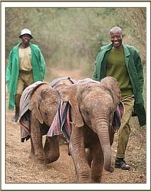 Lesanju leading the way!