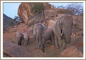 Yatta and Kinna with the orphans