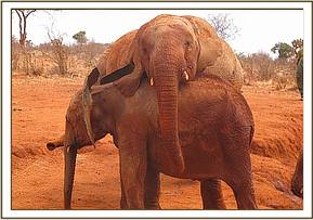 Lesanju gives Dida a hug