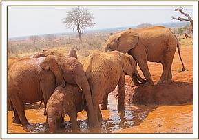 Lesanju holding Dida in the mudbath