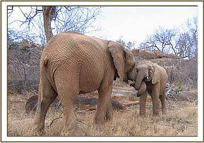 Galana plays with Taita