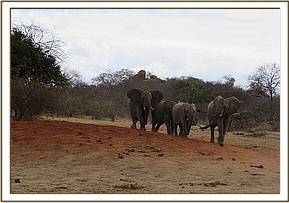 Lualeni's group
