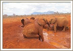 Sinya sitting on the edge of the mudbath
