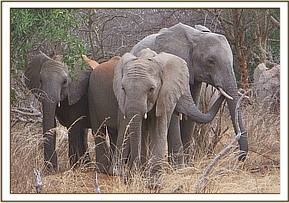 Lualeni with the juniors