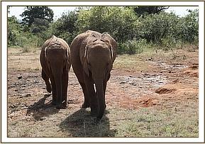 Tamiyoii and Maisha walking together