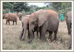 Maisha and Sagala browse together