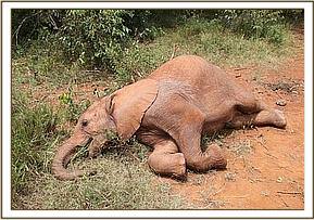 Orwa relaxing