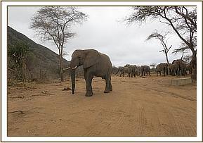 Napasha returning home after many months
