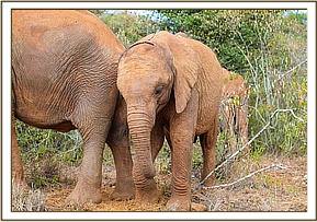 None of the orphans paid any attention to her!