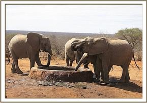 Lualeni coming to see the orphans