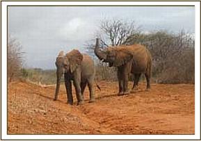 Buchuma & Wendi playing