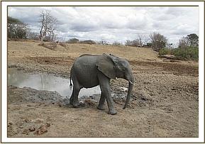 Lualeni at the mudbath