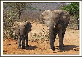 Ithumbah and Yatta