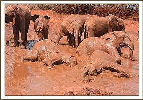 Lesanju, Kihari and Naipoki bathing