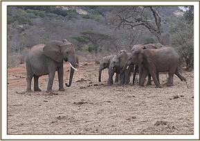 Yatta says hello to the orphans