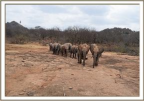 Ukame and Kamok leading